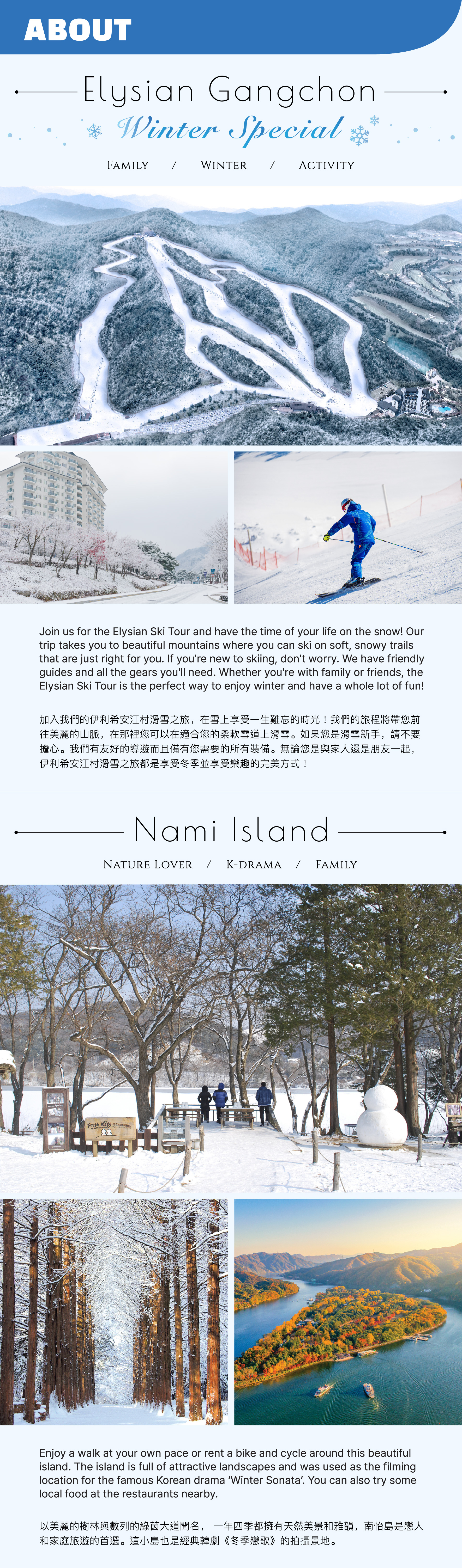 Nami Island & Elysian Gangchon Winter Ski  Day Tour from Seoul 