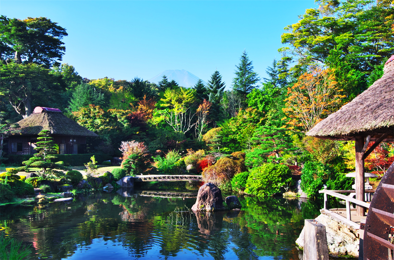 富士山探索之旅-新倉山淺間公園·天梯小鎮·忍野八海·河口湖大石公園·西湖療愈里根場一日遊