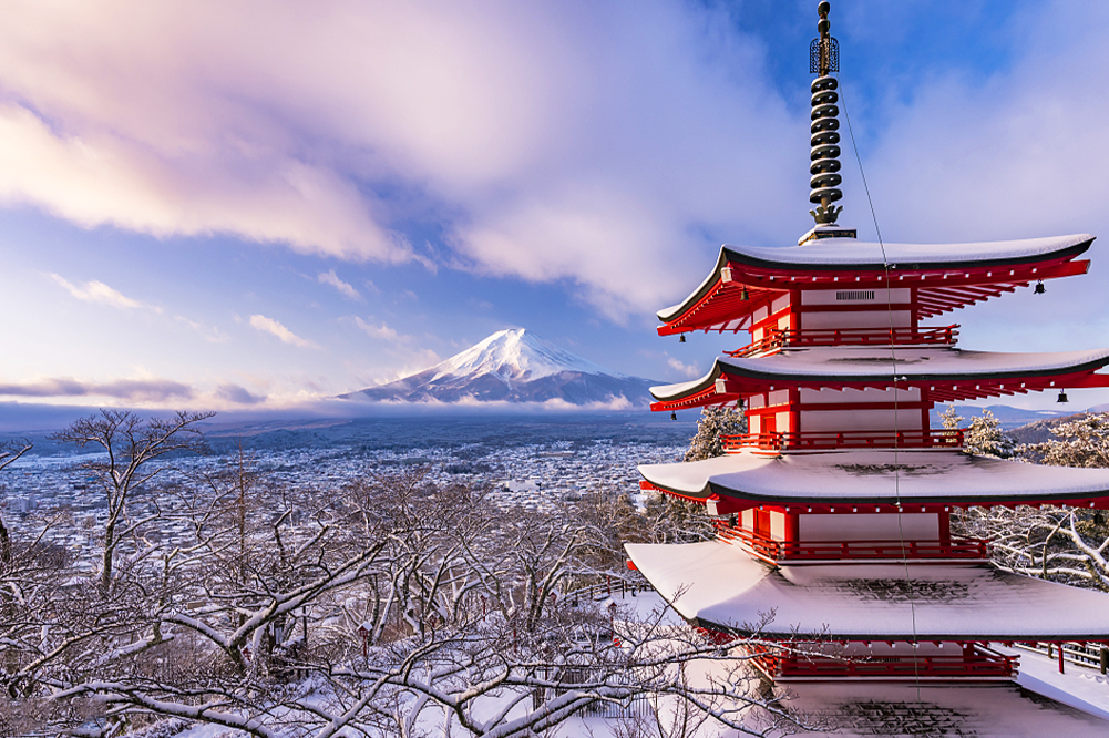 富士山網紅打卡景點&河口湖四季花卉探秘之旅（贈送日式草餅）｜東京/新宿出