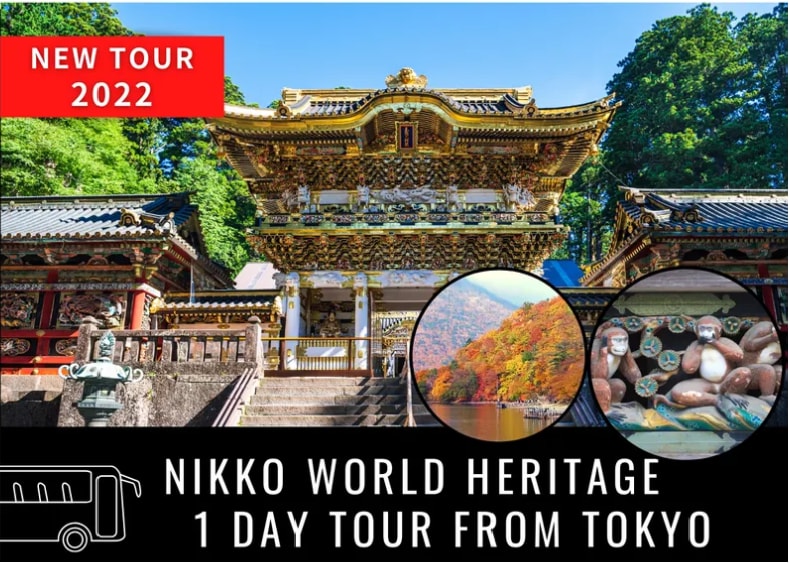 Tokyo 4hr Private Tour with Government-Licensed Guide 2024