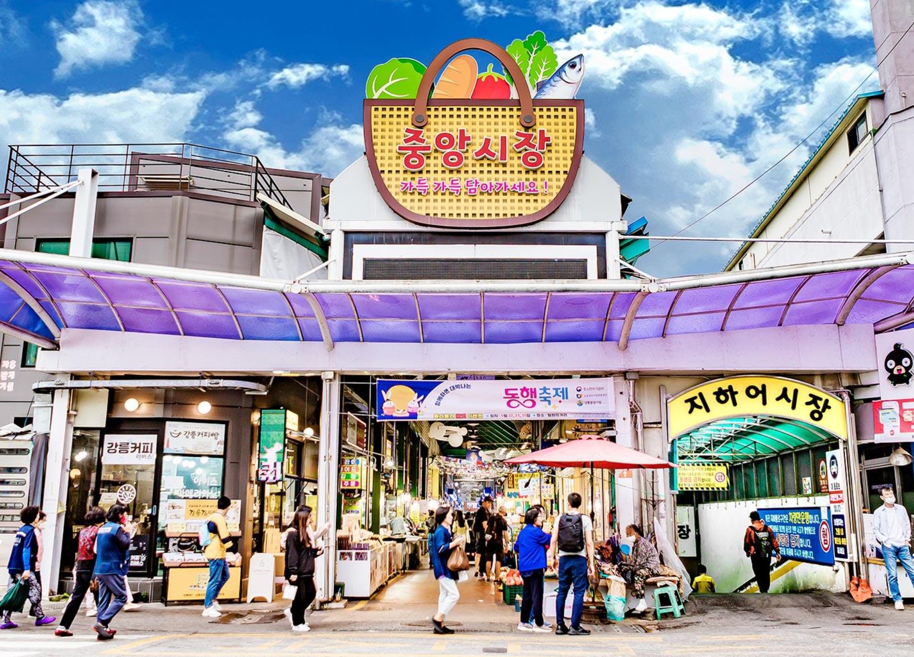 Gangneung Full-Day Alpaca World & Jungang Market Tour