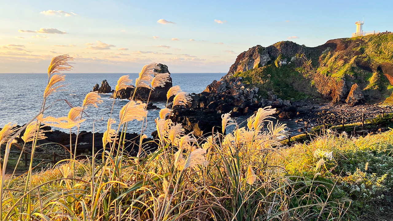 登上城山日出峰，將由古老火山作用塑造而成的濟州海岸線全景盡收眼底。