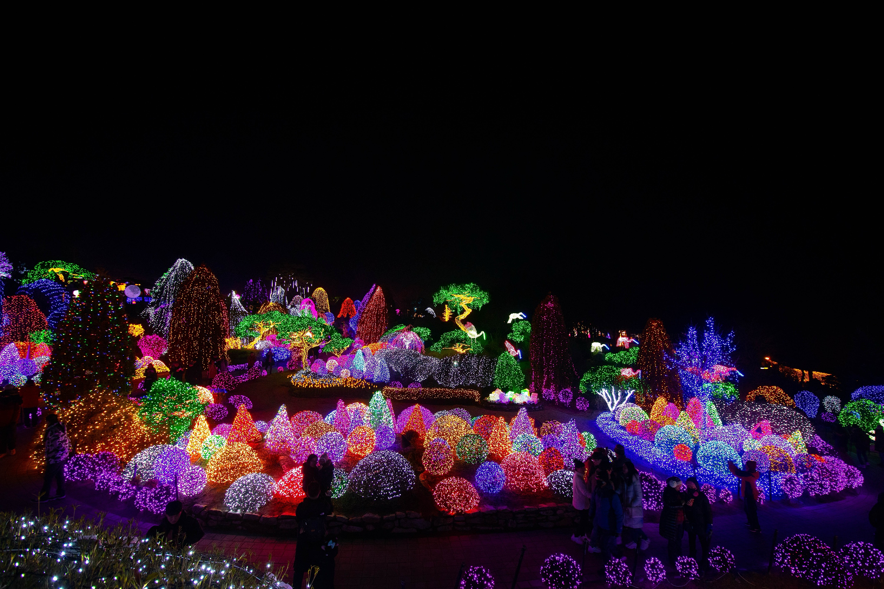璀璨燈光點亮雪白庭園，打造如夢似幻的迷人夜景。