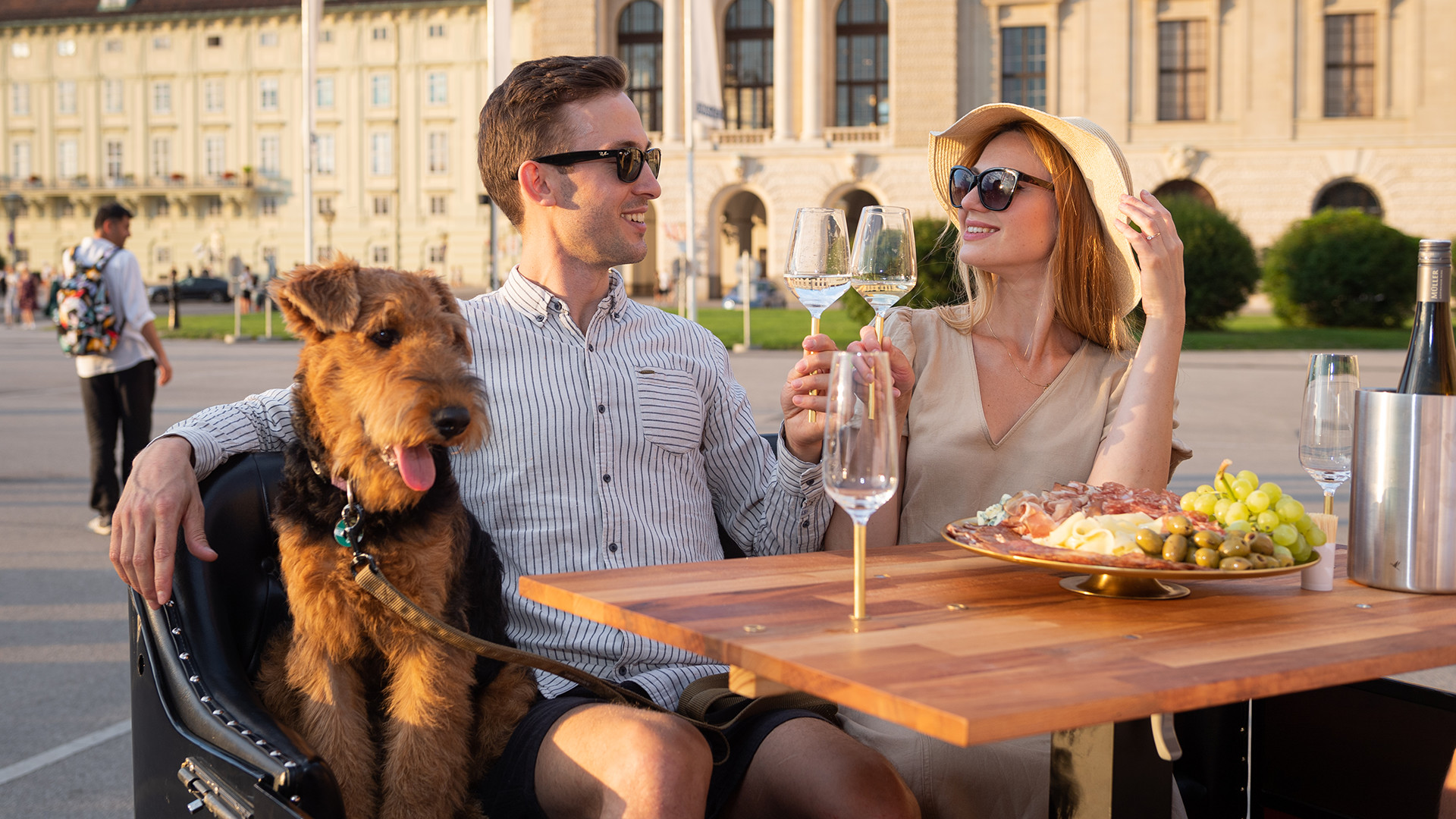 Hofburg Imperial Palace & Vienna State Opera Half-day Wine Tasting & Sightseeing Tour