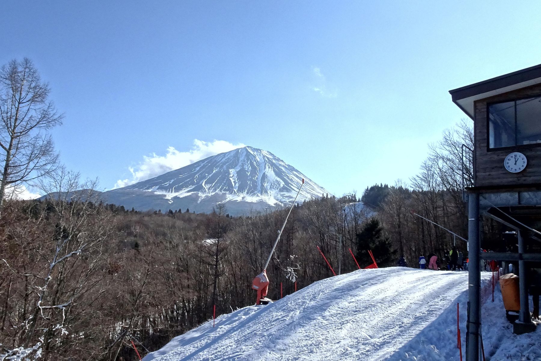 新倉山公園 ＆ 當季水果採摘 ＆ 富士山 ＆ 河口湖櫻花祭一日遊｜新宿出發