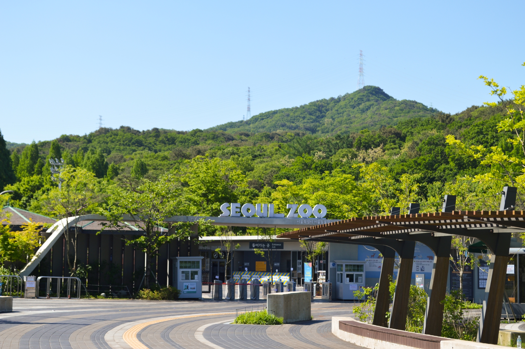 Seoul Zoo (Included Sky Lift) Ticket Seoul