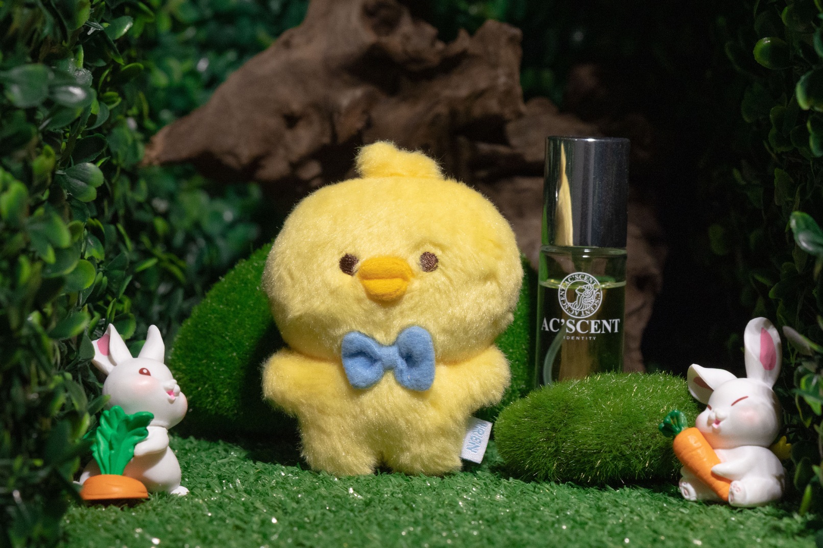 Product & Doll Photozone (You may take photos of your product here)