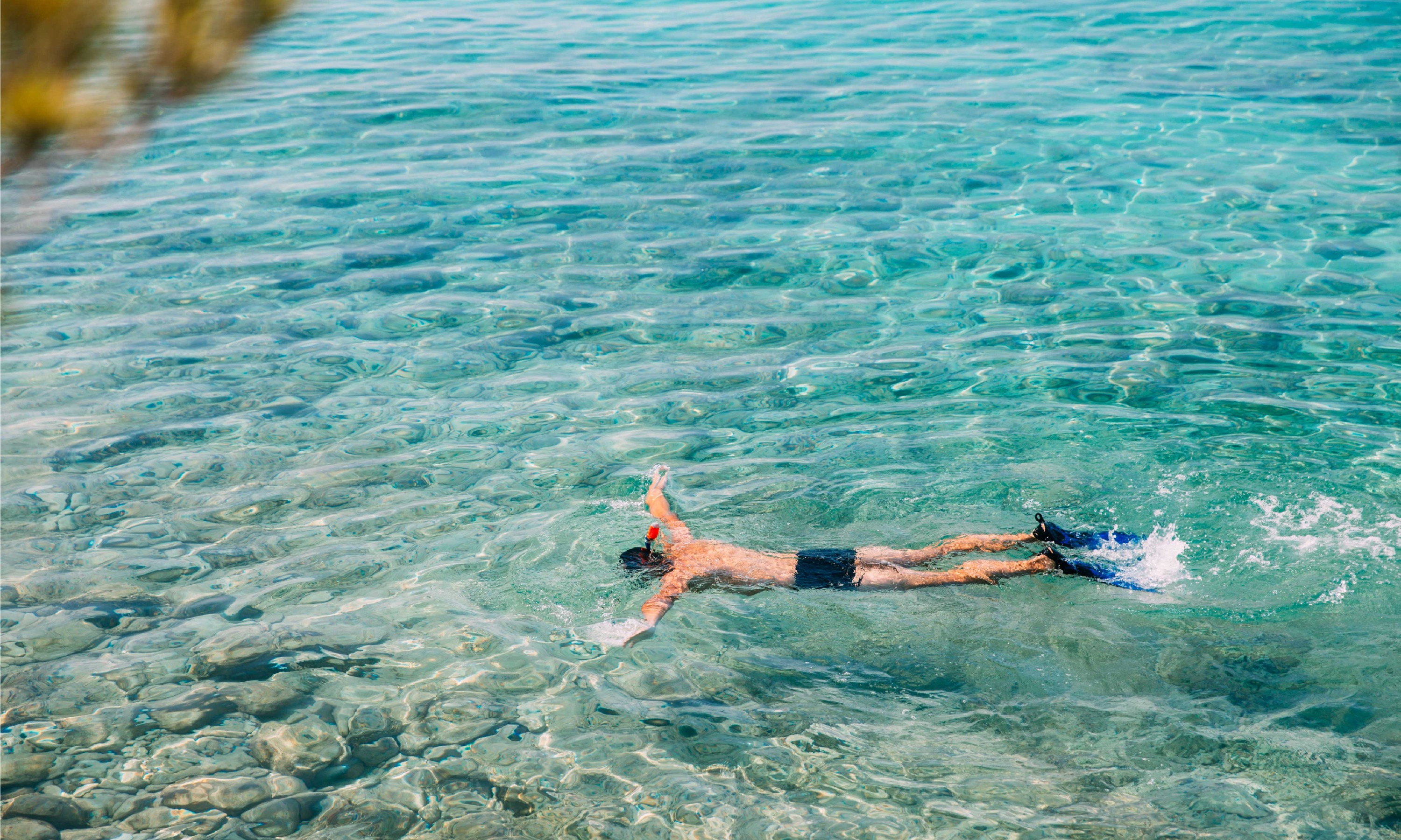 Japanese Shipwreck And Vienna Beach Snorkeling in Amed Bali