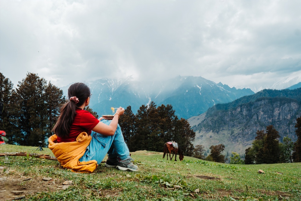 Discover the Best of Manali: Guided Full Day Tour with Guide