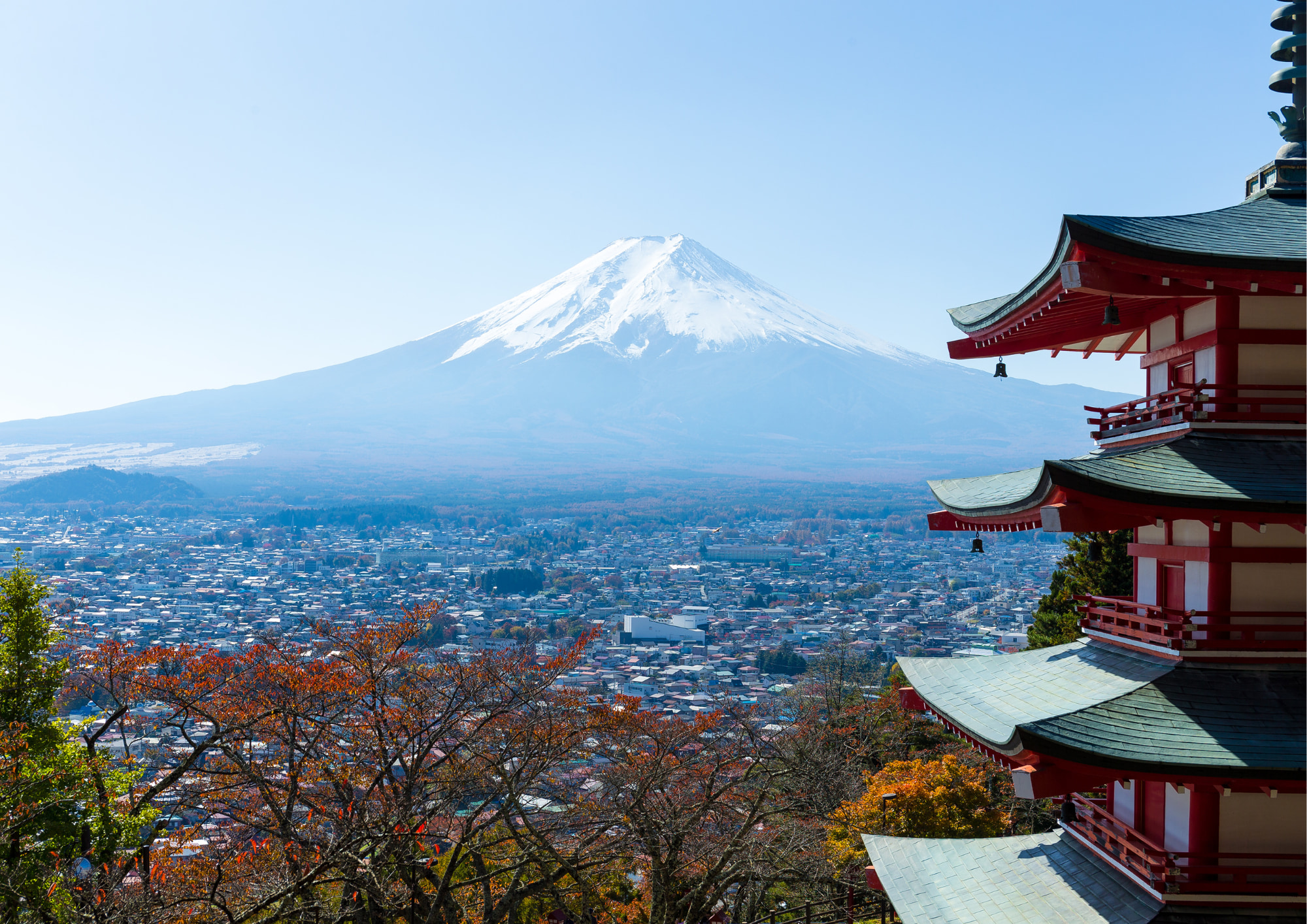 Fuji Mountain Views & Kikyō Shingen Mochi All-you-can-pack Tour