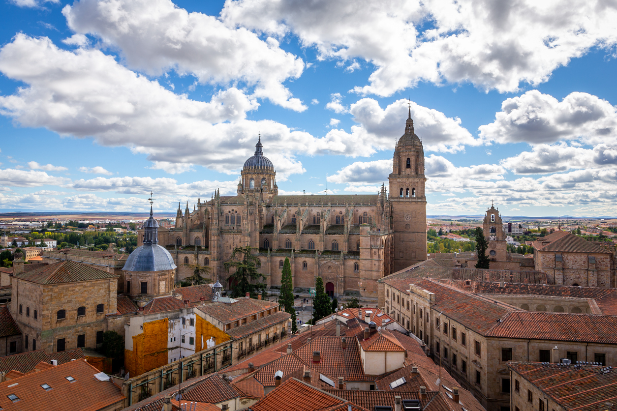 Discover Salamanca: A Day Trip from Madrid to Spain's Golden City 