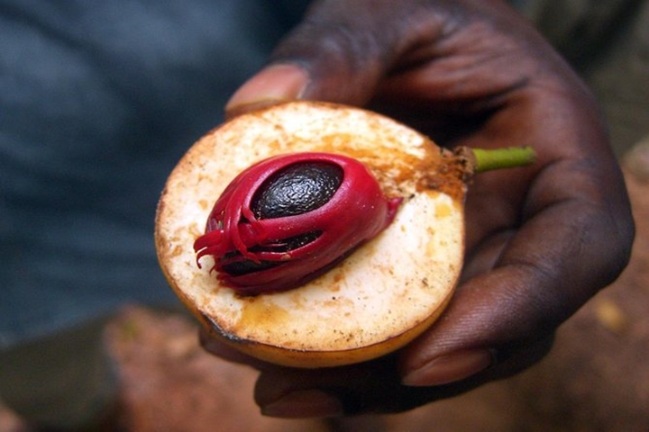  Zanzibar: Walking Spice Tours with Guide