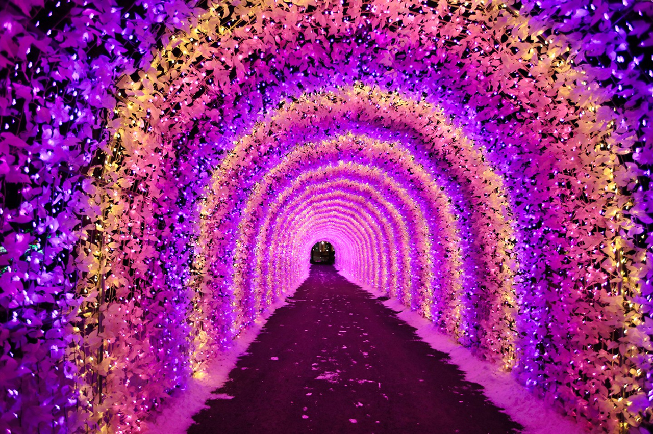 🎇 這是一個寧靜浪漫的場景，自然之美與迷人的晚霞交相輝映。