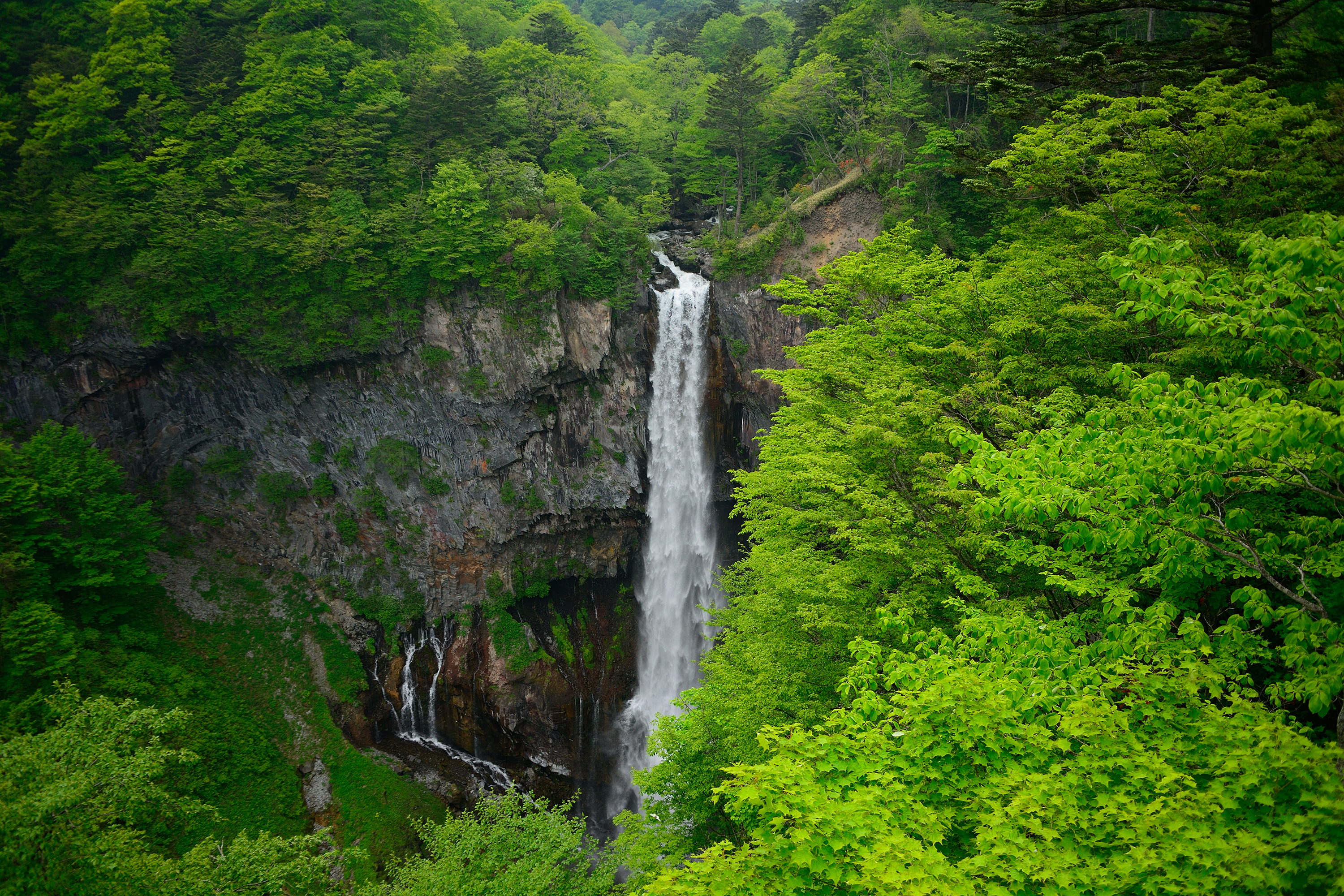 Nikko World Heritage Day Tour from Tokyo