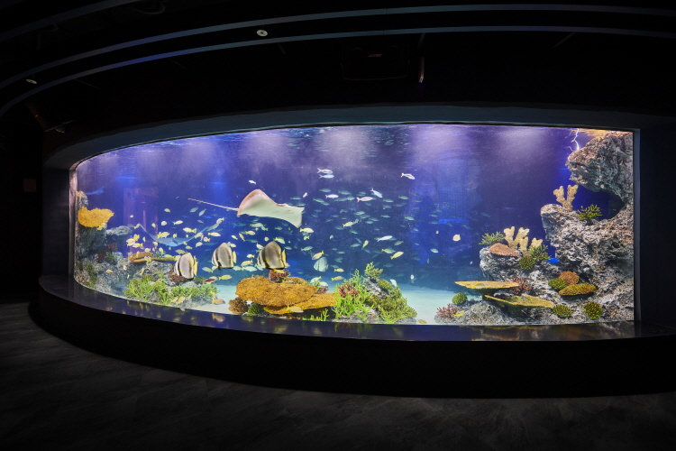 水原光教Aqua Planet水世界折扣門票