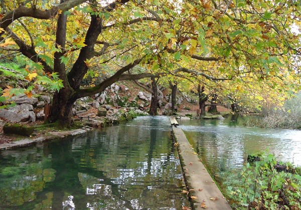 Private Tour To Parnassos and Arachova