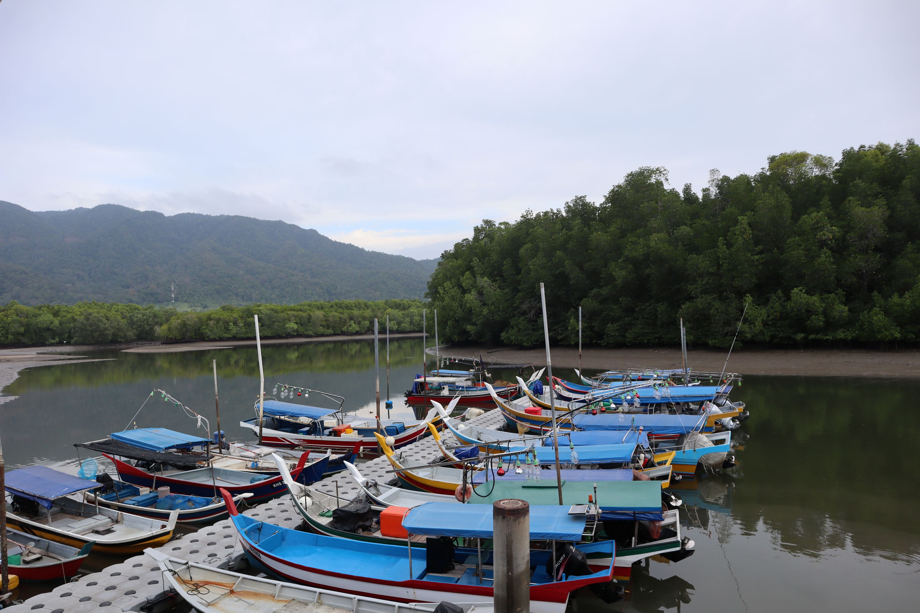 在紅樹林保護區中,盡情享受古邦巴達河 (Kubang Badak river) 的寧靜氛圍。 在紅樹林保護區中,盡情享受古邦巴達河 (Kubang Badak river) 的寧靜氛圍。