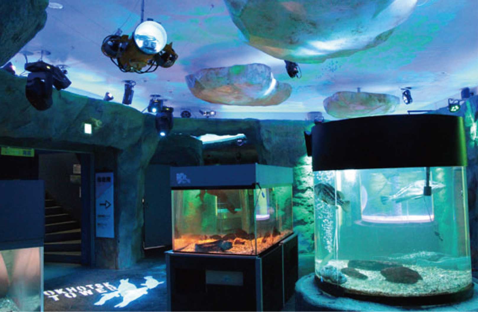 海洋交流館・鄂霍次克塔：享受新設立的360°超立體映像4D-KING※費用自理