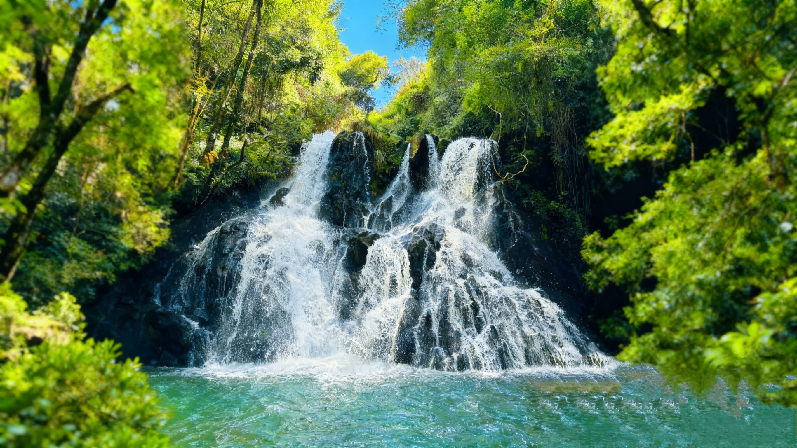 One-day light hiking tour to Gaoligong Mountain, Tengchong, Yunnan