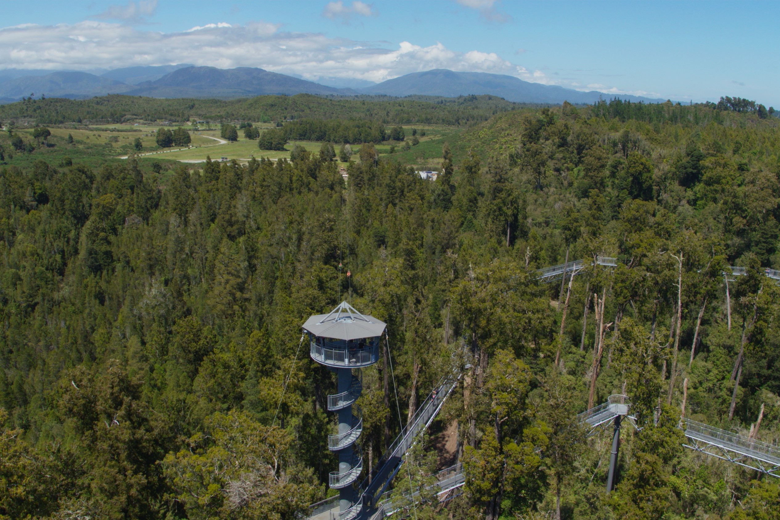 Australia Tree-top tower zipline