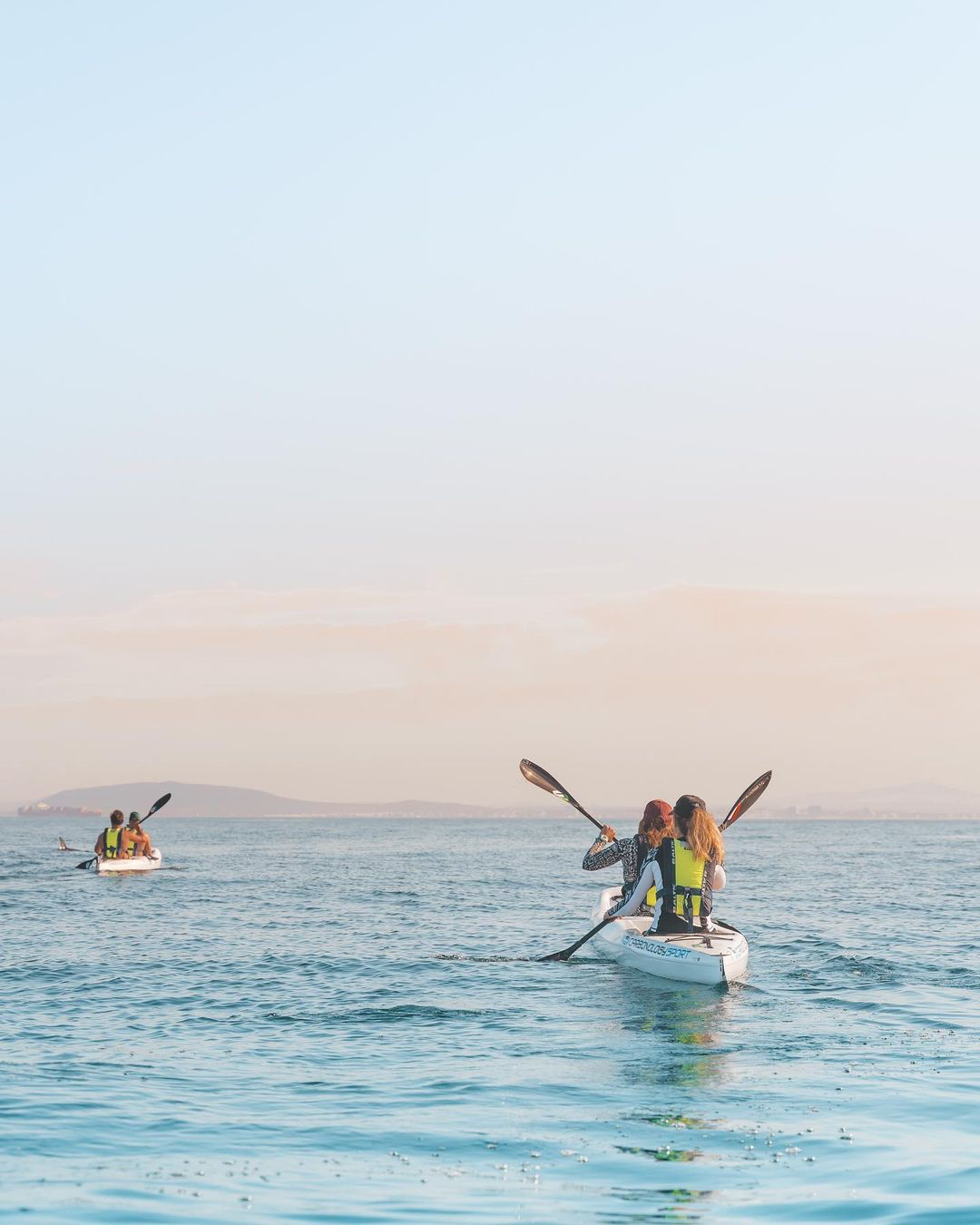 Kayak with Dolphins Experience in Cape Town