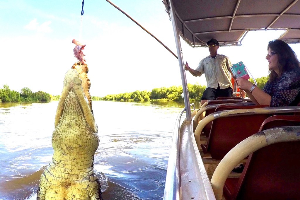 Jumping Crocodile Adventure Cruise with Lunch