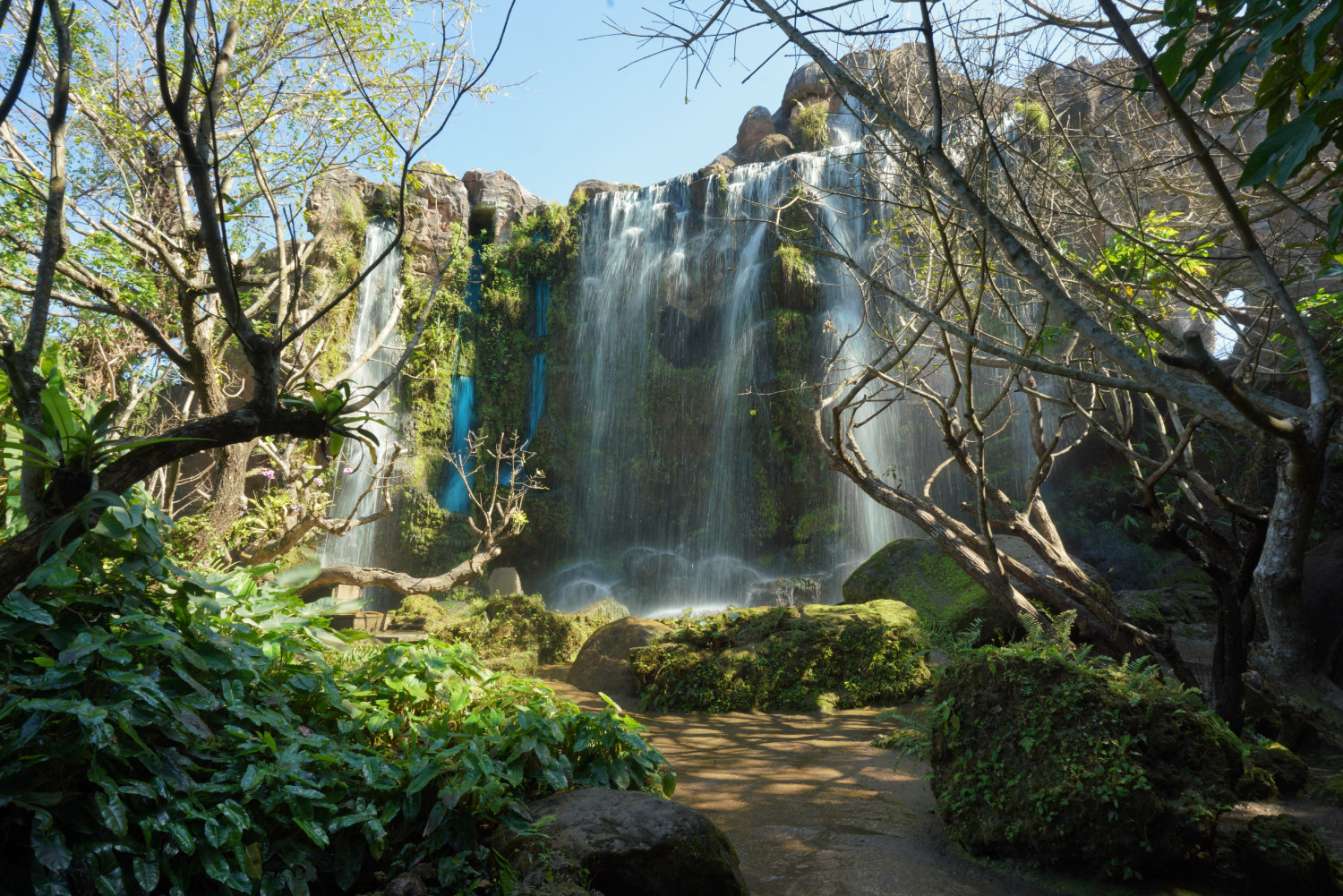 Dan Tewada,Land of Angels Park & Sticky Waterfall with Lunch Buffet