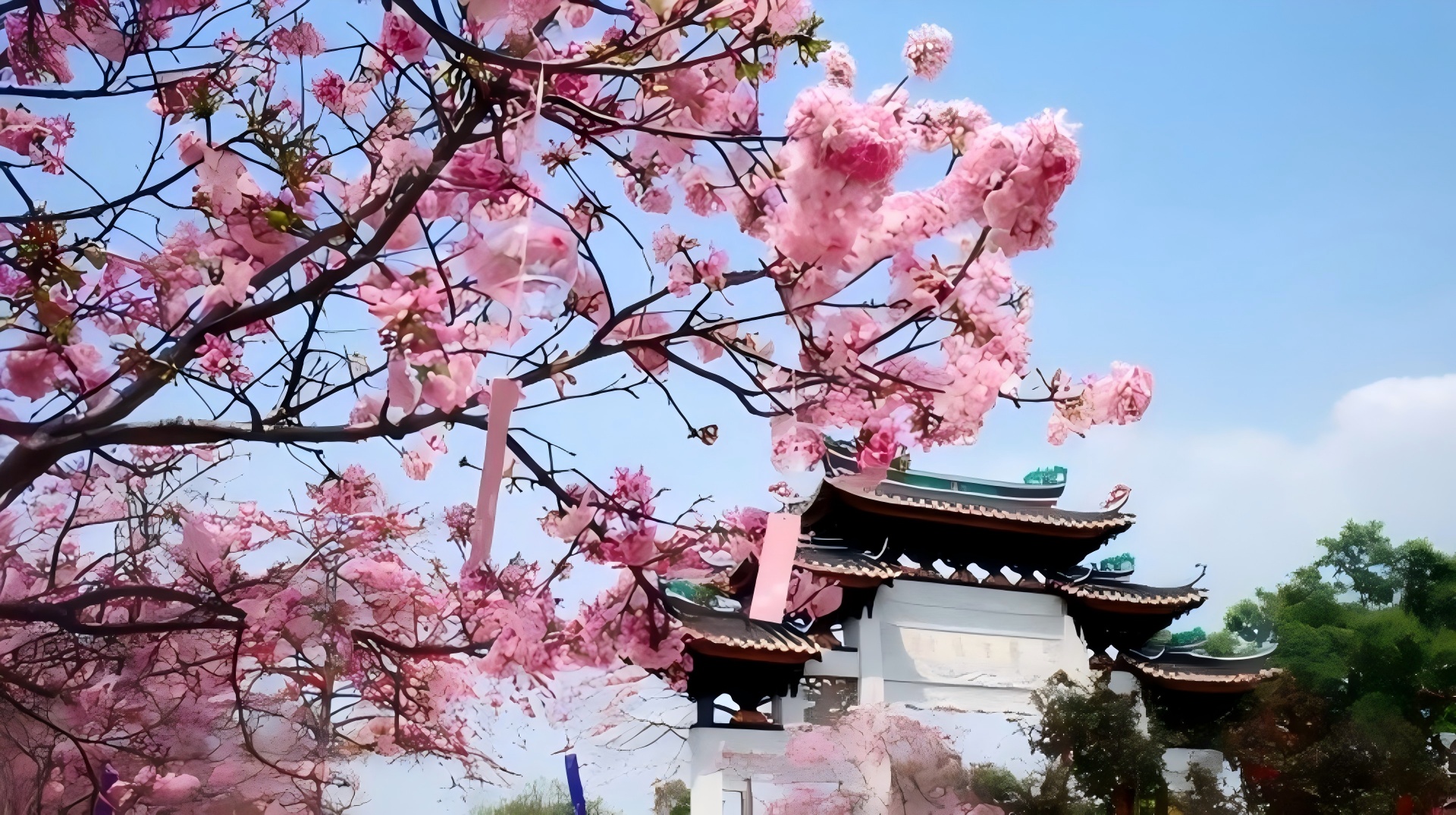 【嶺南文化山水園林】寶墨園