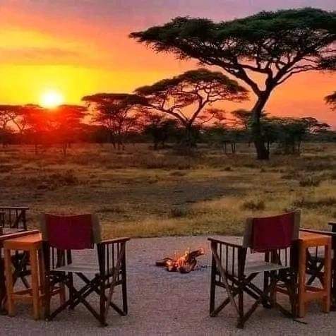 Maasai Mara & Lake Nakuru 6-Day Private Safari