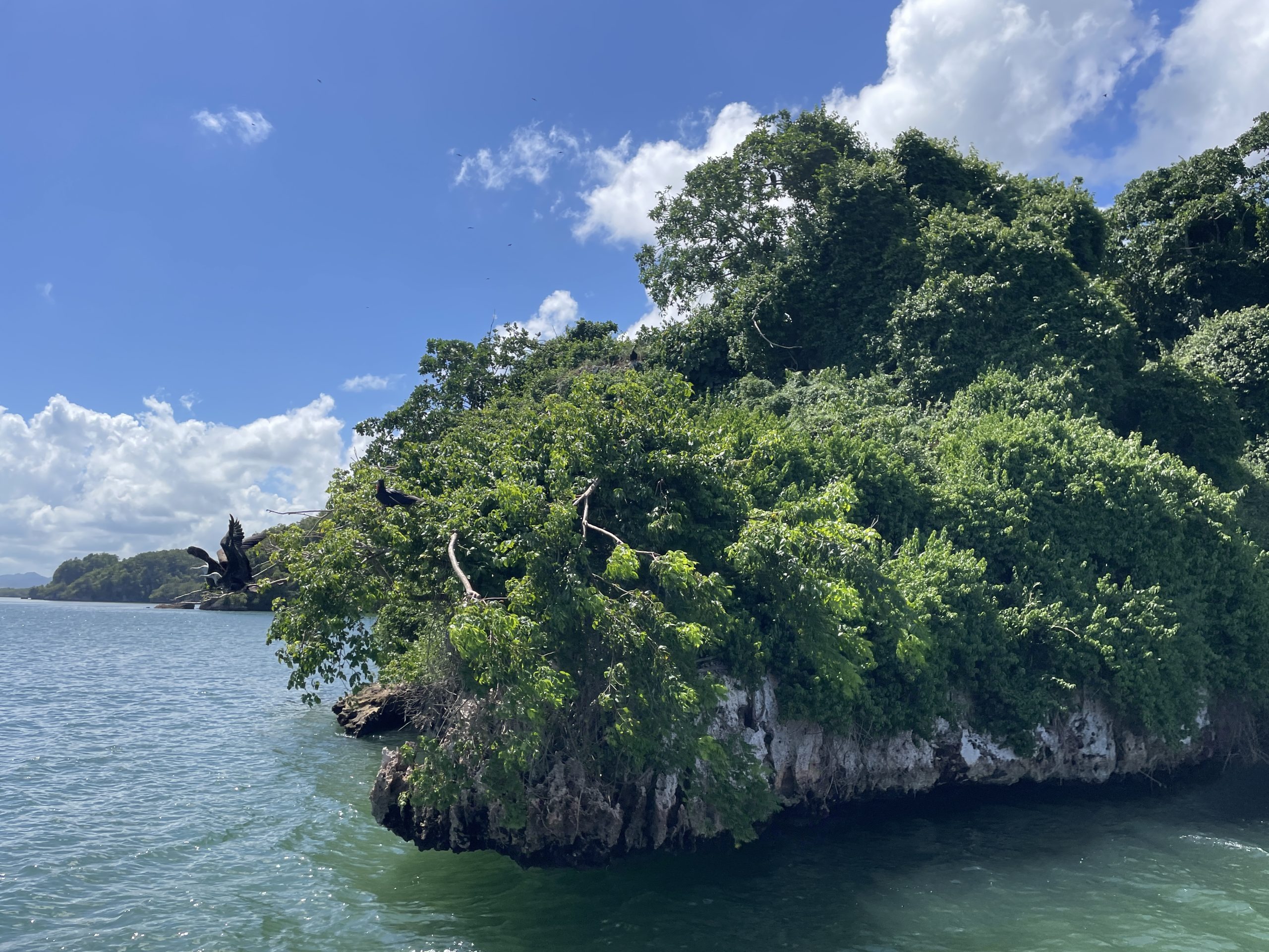 Полнодневный тур по национальному парку Лос-Хайтисес из Саманы