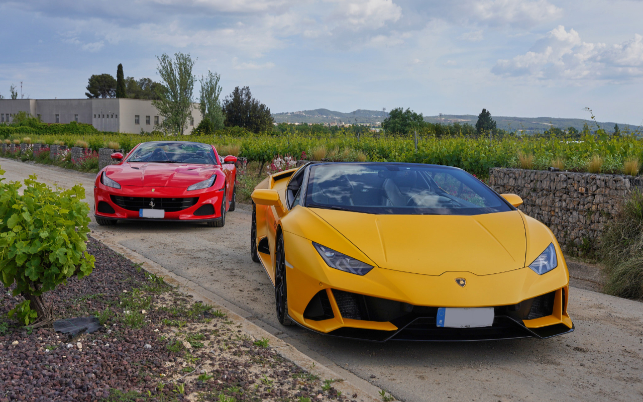 Supercar driving experience to Penedes vineyards