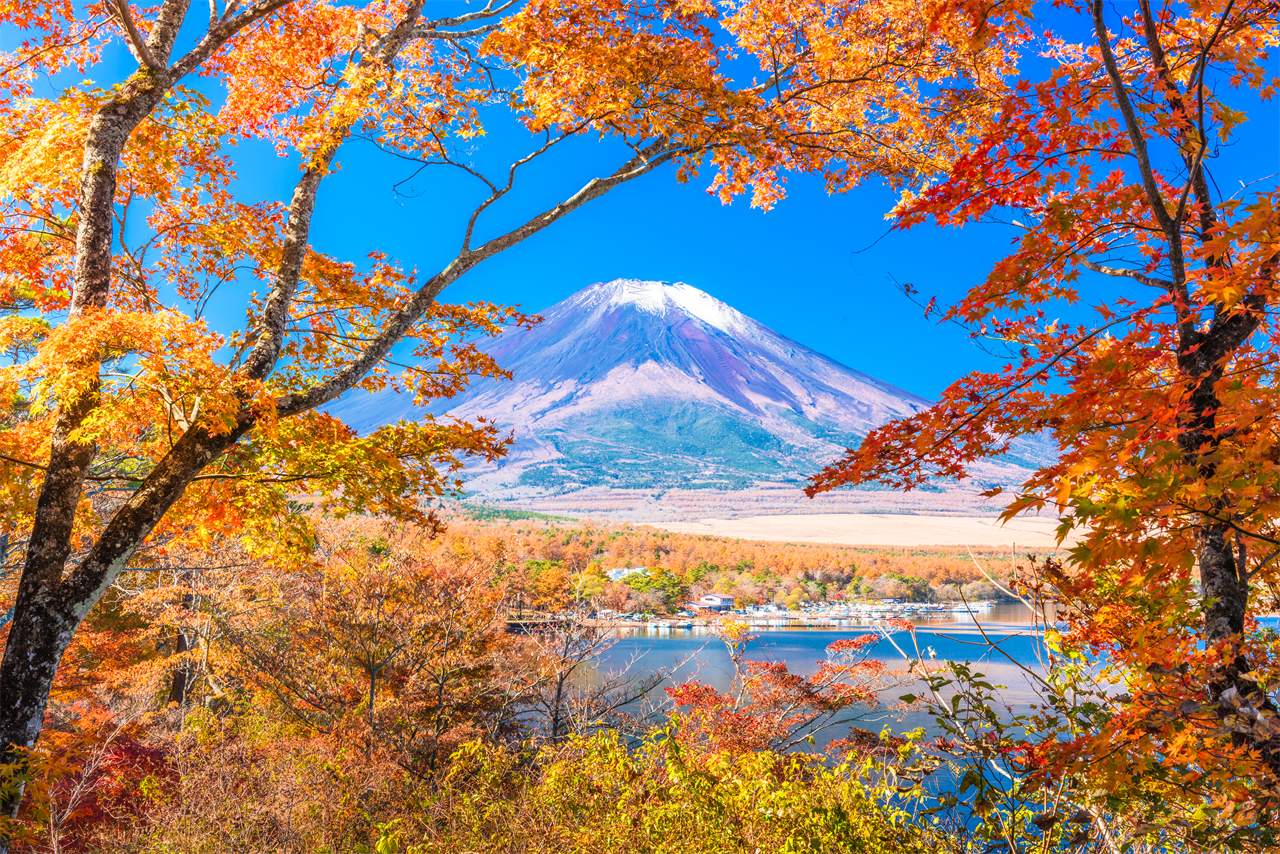 富士山一日遊 網紅打卡景點 | 新倉山淺間公園、西湖療愈之里根場、忍野八海、河口湖大石公園 | 隨機贈送好運信物 （東京出發）