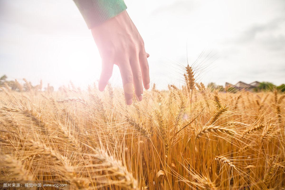 [Test] Translate Chinese to source language test line regression test.