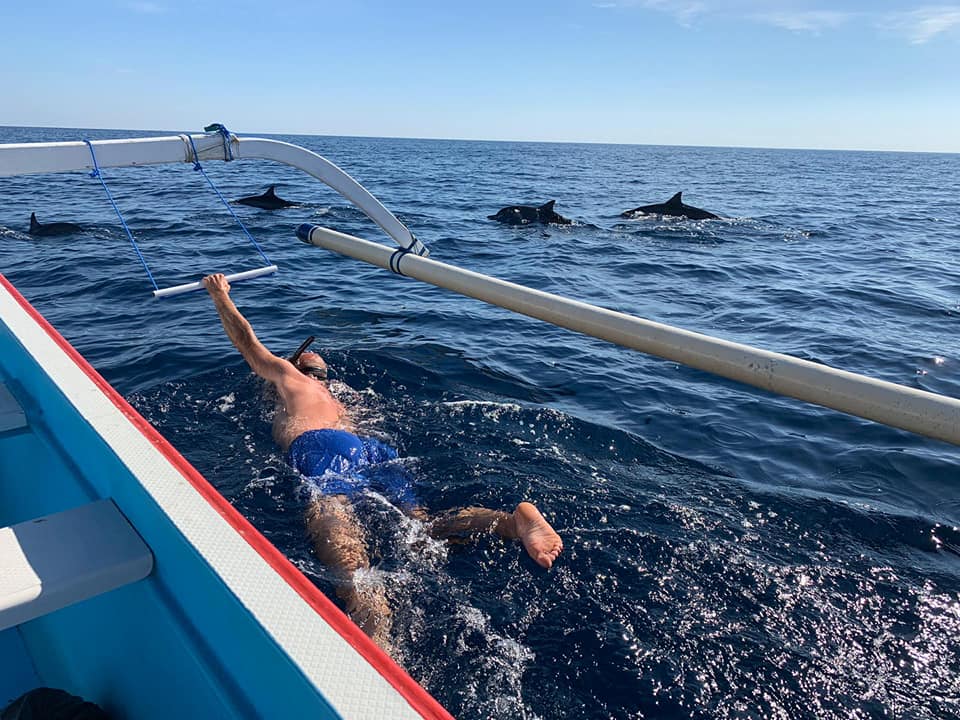 羅威那海豚觀賞 & 巴厘島北部私人遊