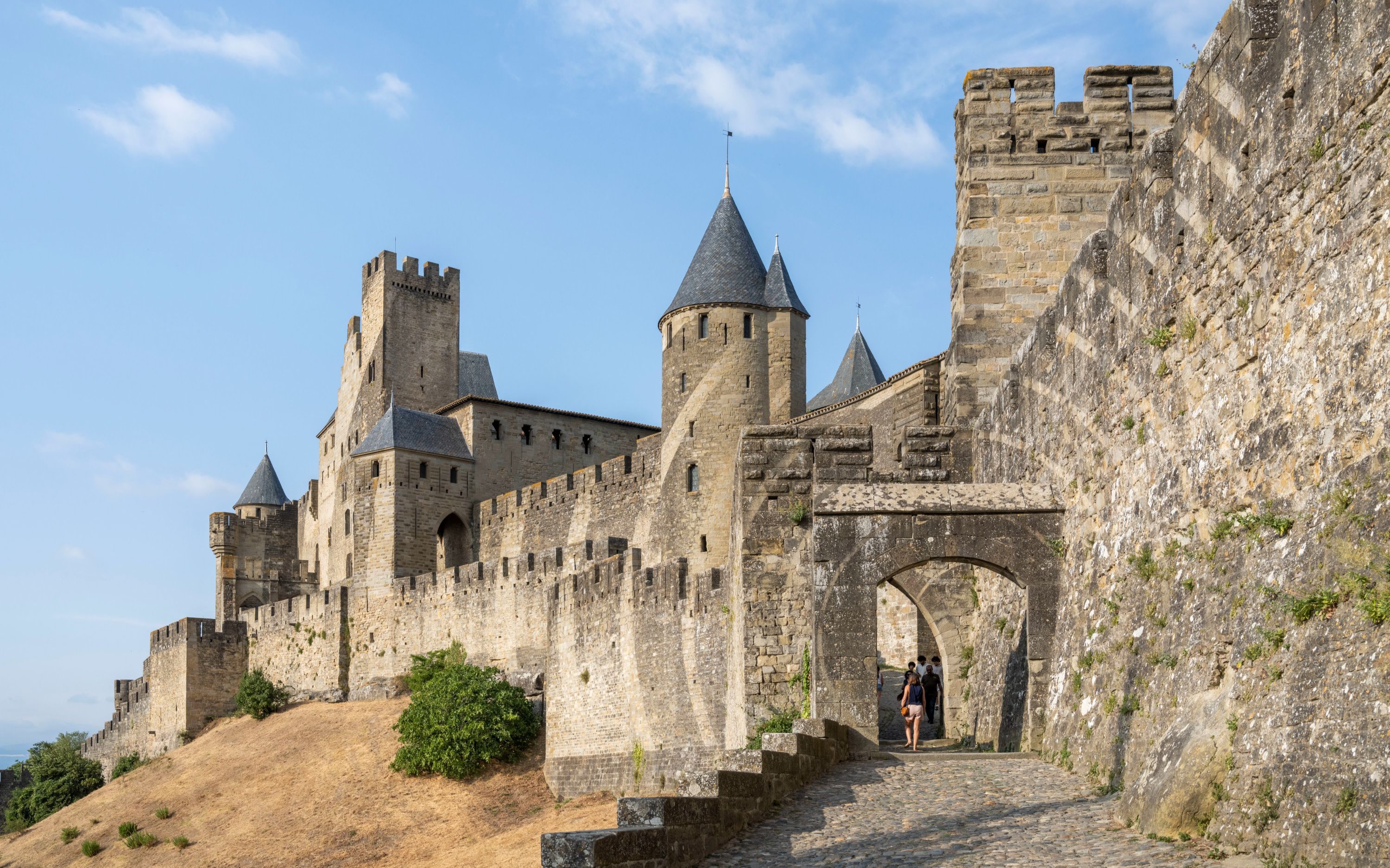Castle and Ramparts Ticket in Carcassonne