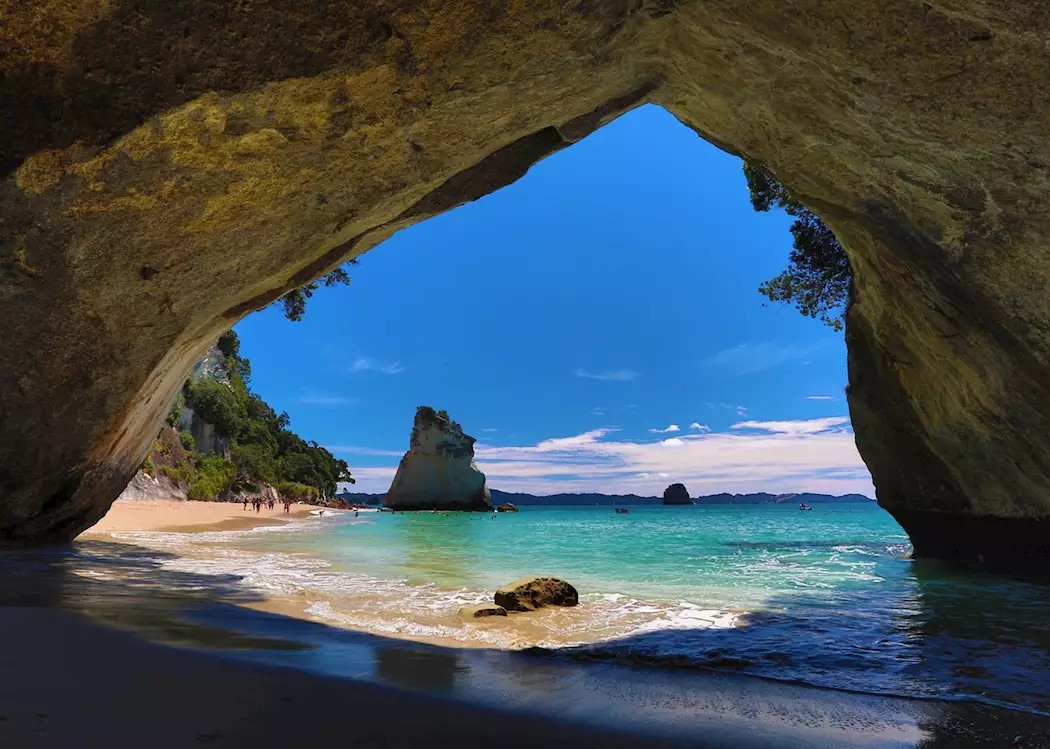 Summer Coromandel Day Tour From Auckland