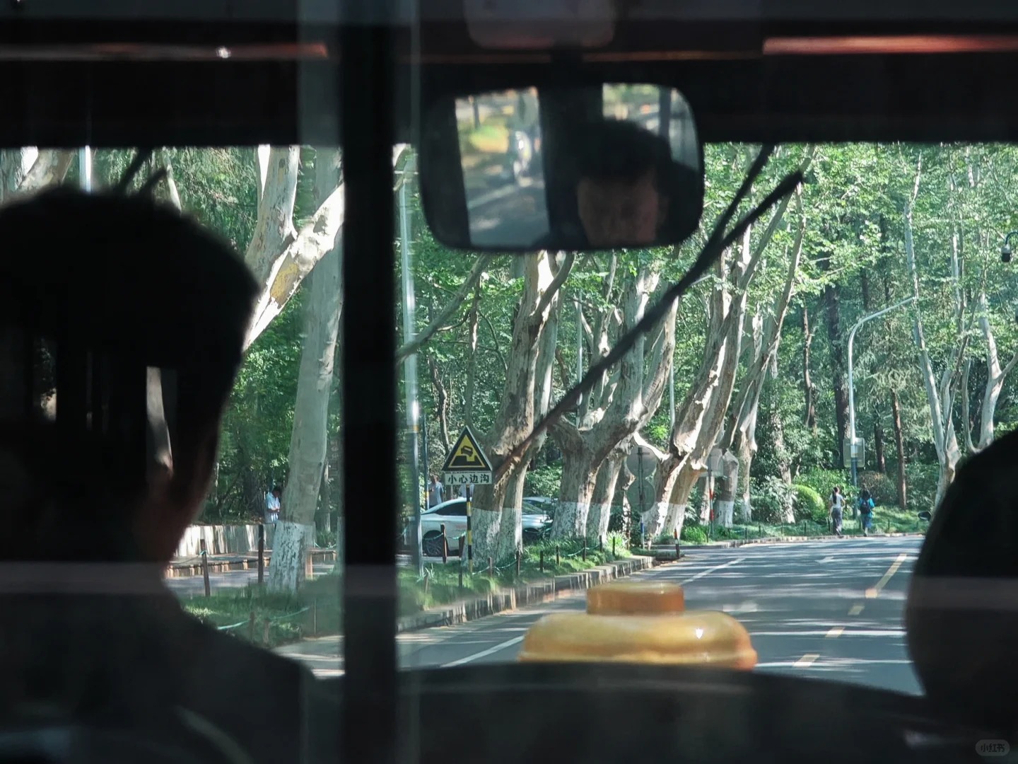 春日暖陽下,南京梧桐大道迎來了一場盛大的新生。高大的梧桐樹宛如忠誠的衛士,整齊排列在道路兩側,向遠方延伸。新芽從褐色的枝幹上探出腦袋,嫩綠中透著幾分鵝黃,給整棵樹披上了一層朦朧的薄紗。在陽光的照耀下,這層薄紗閃爍著金色的光芒 ,如夢如幻。 春日暖陽下,南京梧桐大道迎來了一場盛大的新生。高大的梧桐樹宛如忠誠的衛士,整齊排列在道路兩側,向遠方延伸。新芽從褐色的枝幹上探出腦袋,嫩綠中透著幾分鵝黃,給整棵樹披上了一層朦朧的薄紗。在陽光的照耀下,這層薄紗閃爍著金色的光芒 ,如夢如幻。