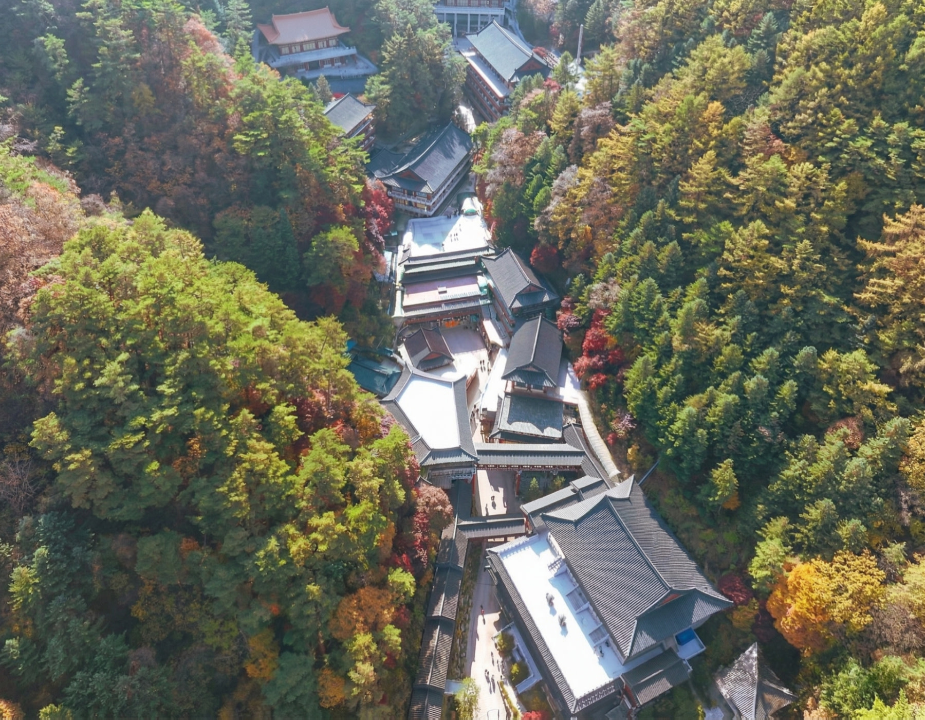 「宏偉中的寧靜」
小白山腳下的救仁寺，擁有宏偉的寺廟建築和壯麗的全景。沐浴在穿透樹林的溫暖陽光中。