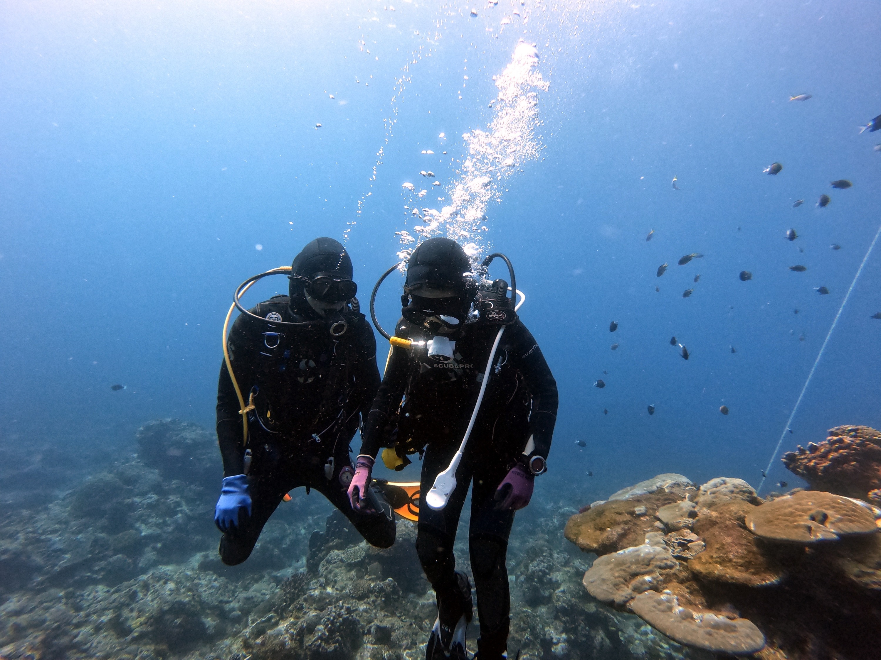 Taitung Green Island: Have fun under the sea and experience diving