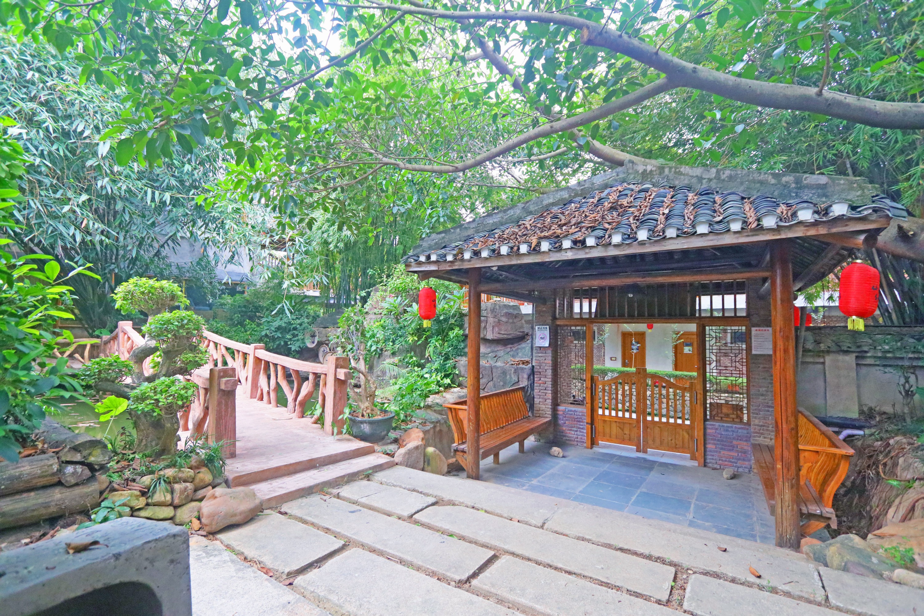 garden view