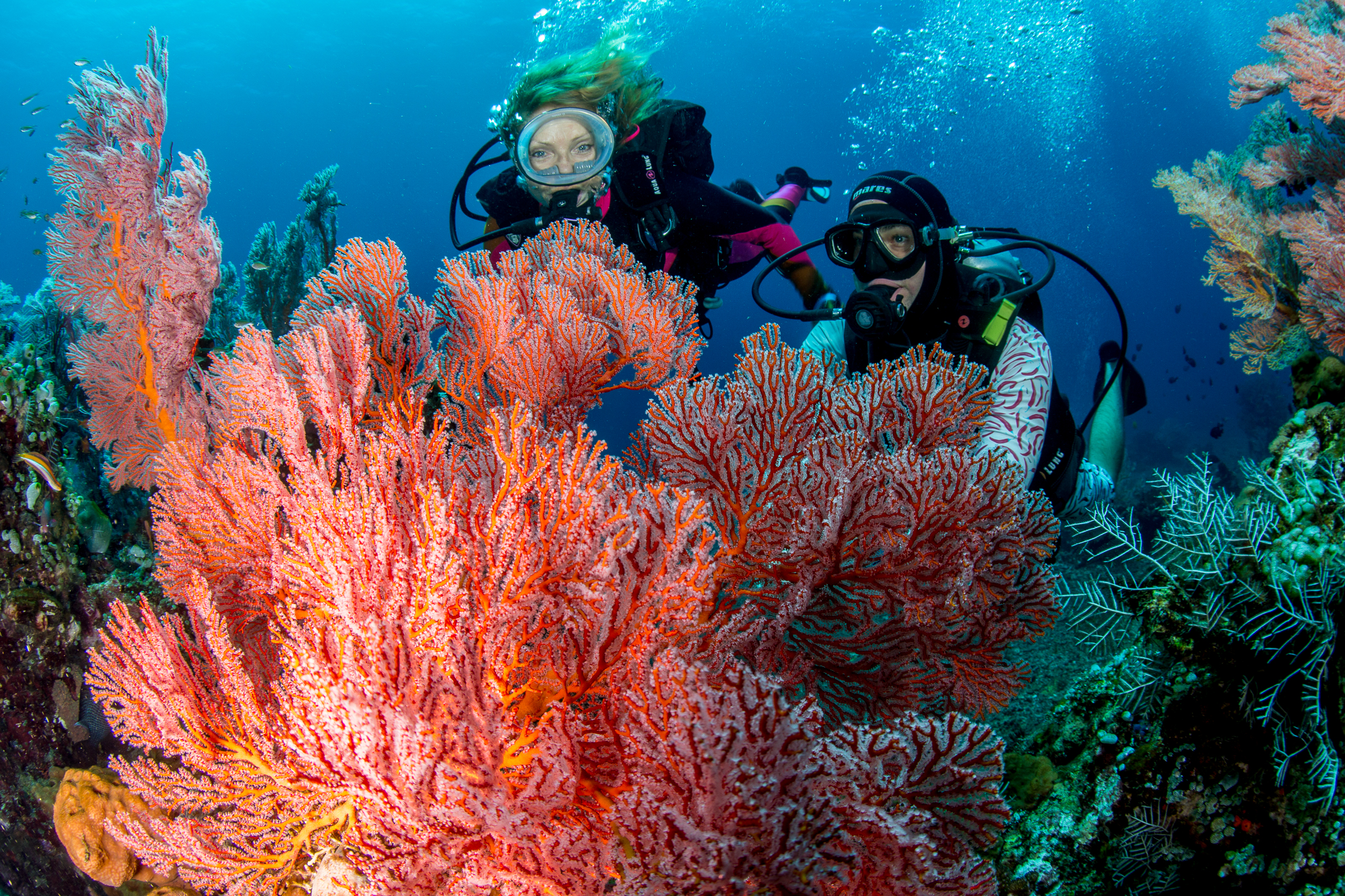 ボートダイビング（ムンジャンガン島 / PADI Center提供）