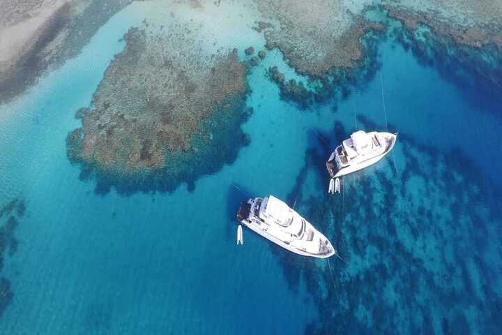 薩塔亞海豚屋過夜之旅 (Port ghalib : Sataya Dolphin House Overnight)