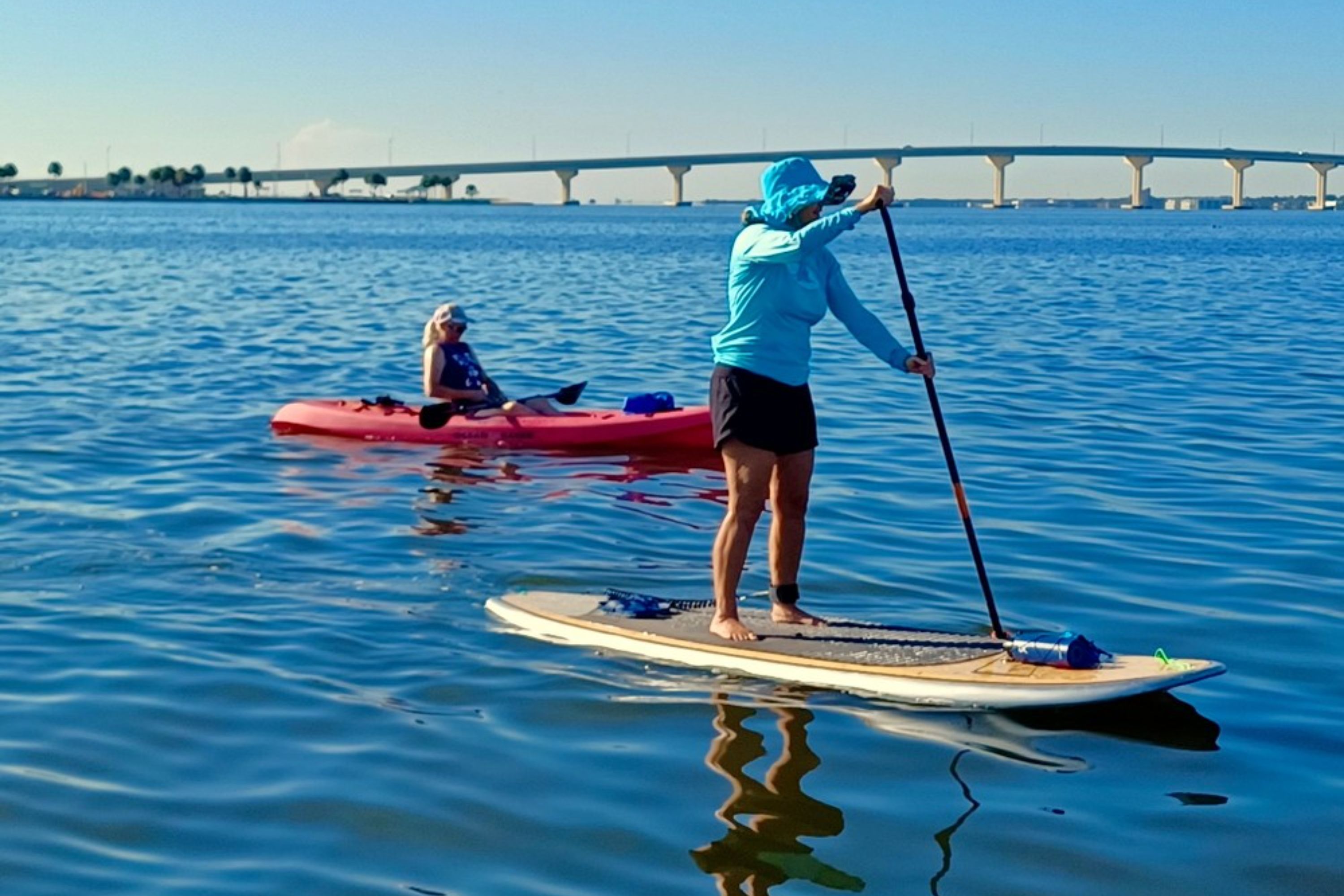 Dolphin & Manatee Kayak or Paddle Board Tour in Titusville