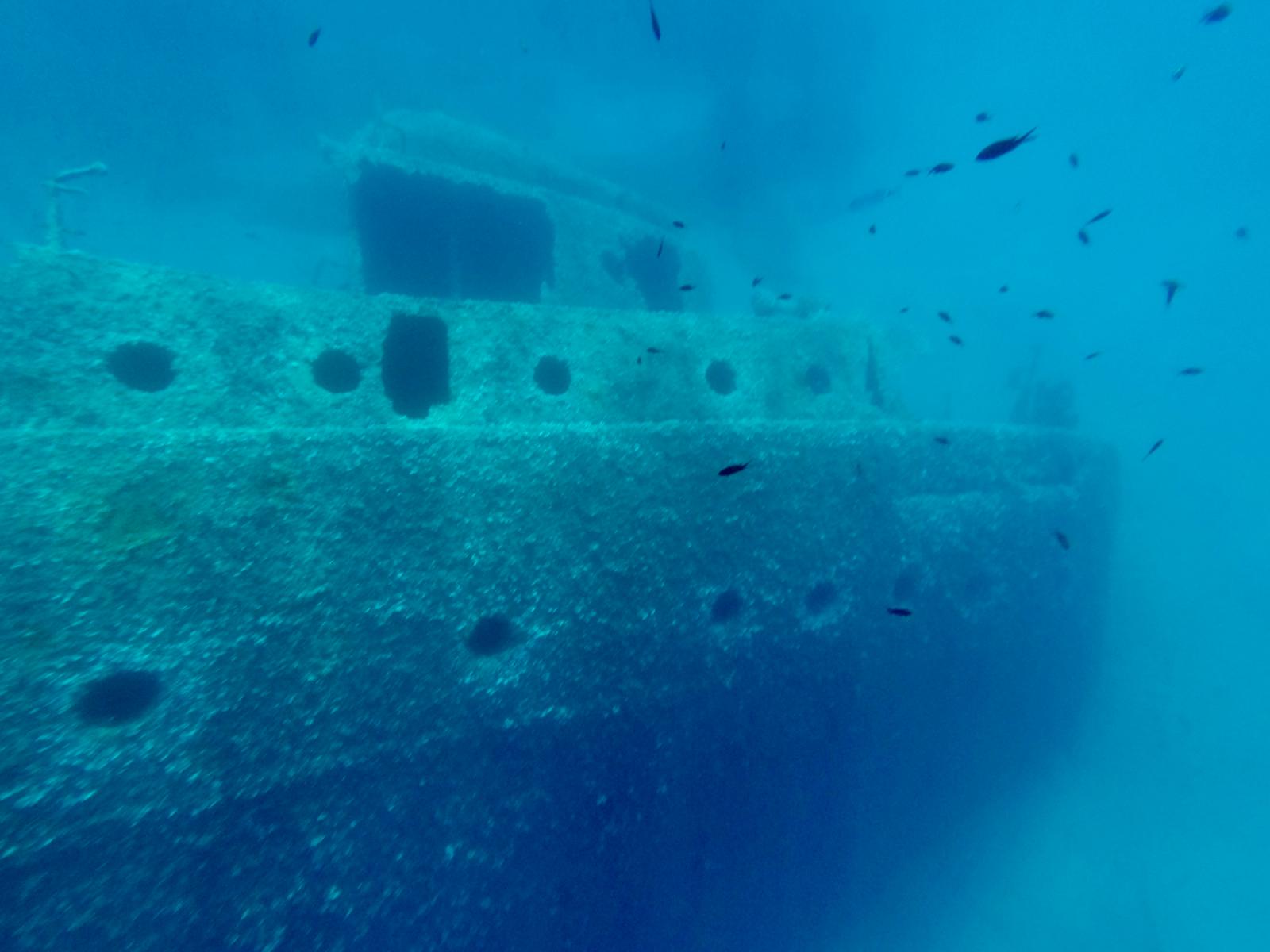 シュノーケリング体験（エルバ島 / PADI 5 Star Center提供）