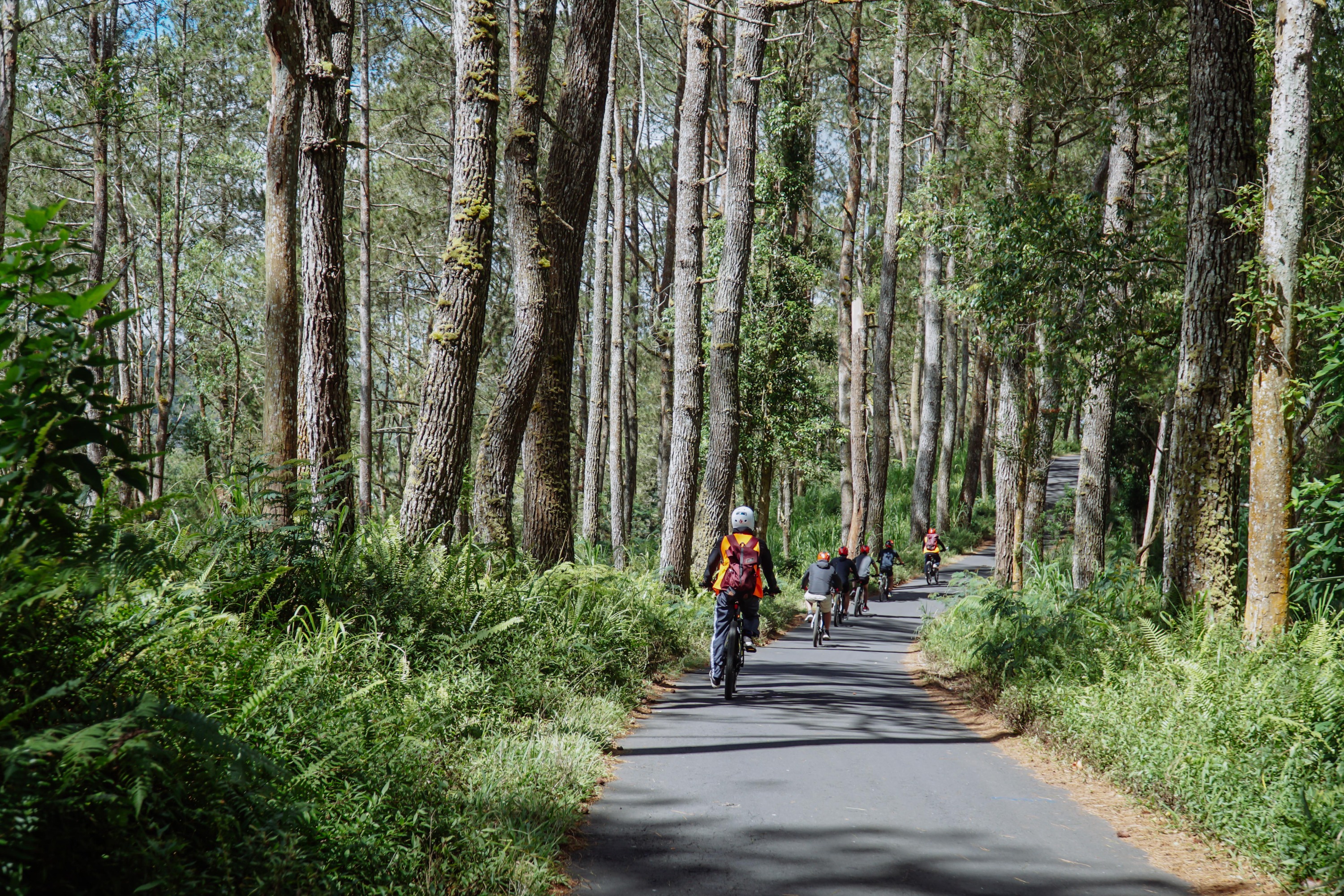 E-Bike Tour in Kintamani by Eco Bike Coffee