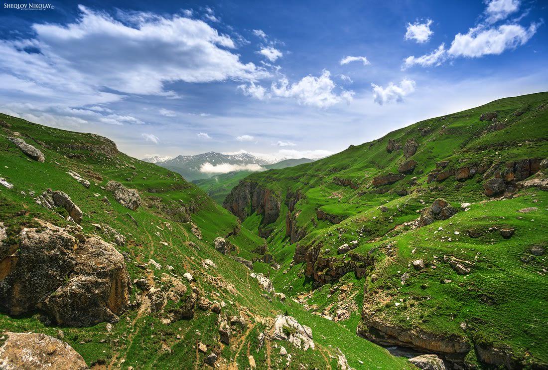Golden Mountain 