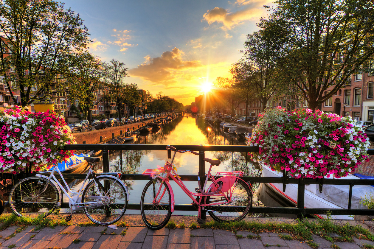 (Free eSim)Chinese guide tour Discover Apeldoorn and Utrecht