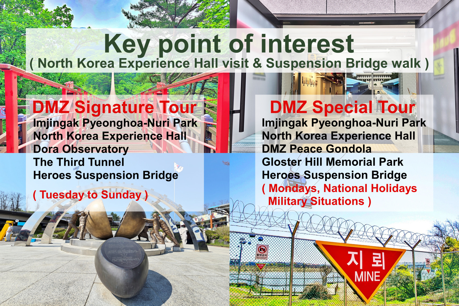 The thrill of the DMZ doesn’t stop — even when our Signature Tour is on pause! Join the DMZ Special Tour for a truly unique experience!