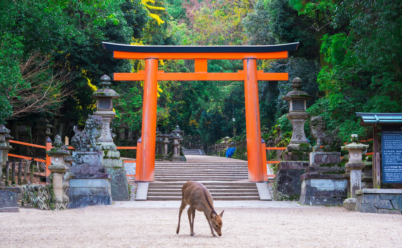 【奈良宇治一日遊】平等院・源氏物語博物館・宇治天然溫泉源氏之湯 ・奈良公園・東大寺・春日大社 | 4-9人小團（可選大阪或京都出發）