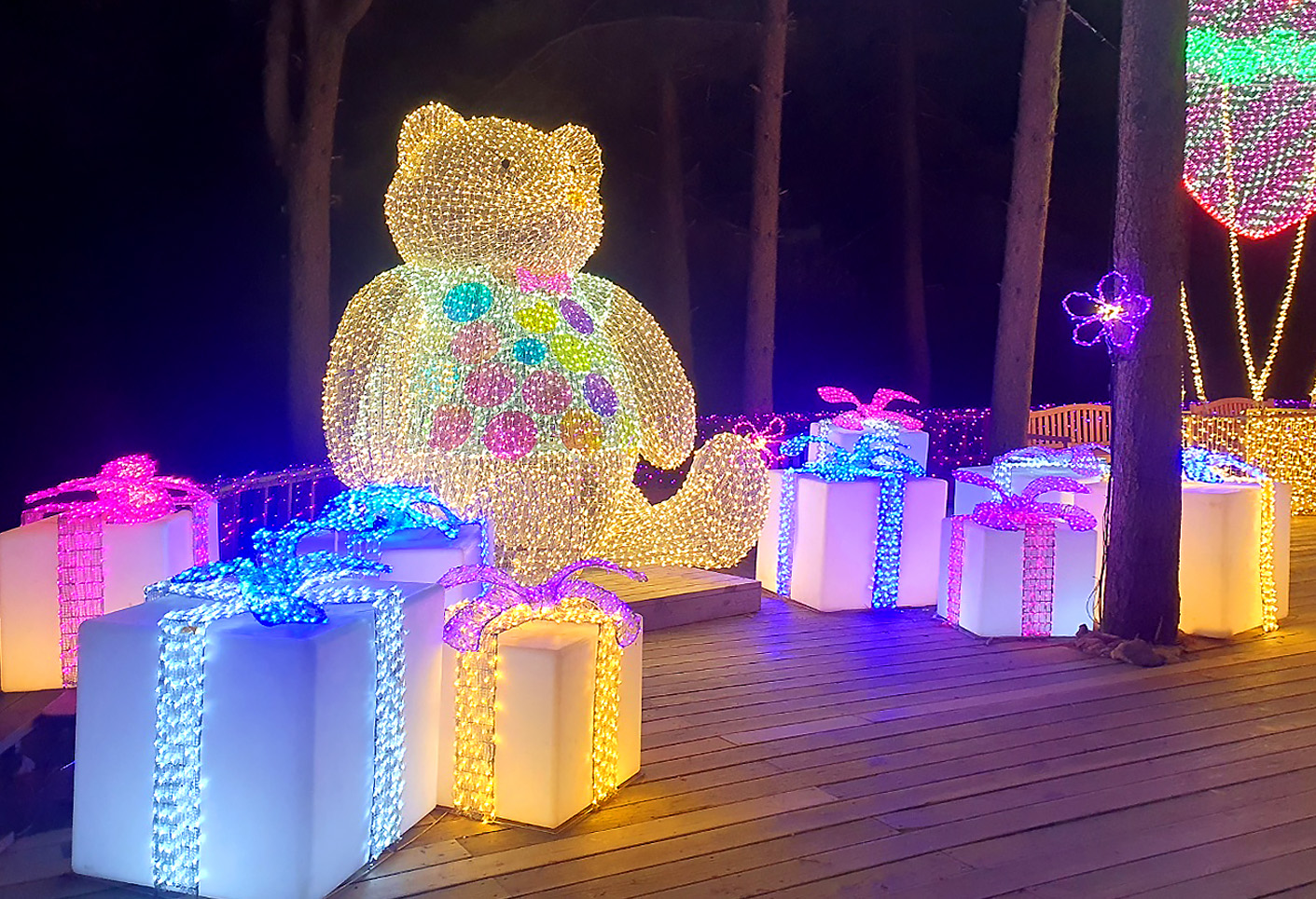 參觀晨靜樹木園，這裡以其璀璨的冬季燈光和迷人的夜景而聞名。